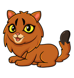 Cute Somali Cat Cartoon Sitting