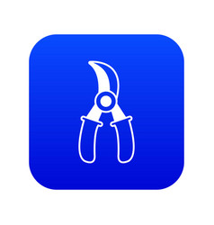 Grape Scissors Icon Blue