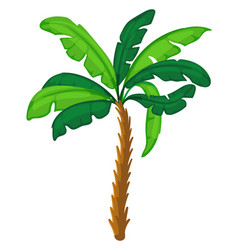 Green Palm Cartoon Jungle Tree Tropical Plant