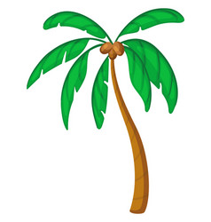 Palm Tree Cartoon Icon Tropical Coconut Plant