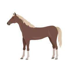 Sorrel Horse In Flat Design