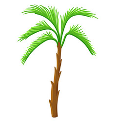 Cartoon Palm Jungle Green Tree Beach Plant