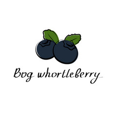 Bog Whortleberry Cartoon Flat