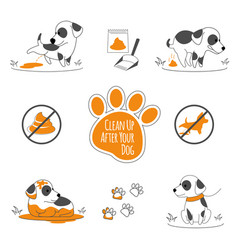 Clean Up After Your Dog