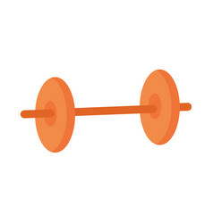 Gym Dumbbell Equipment