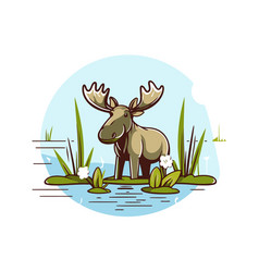 Moose In The Water