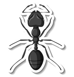 A Sticker Template With Close Up Of Red Ant