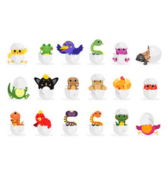 Cute Bird And Reptile Hatching From Egg Set