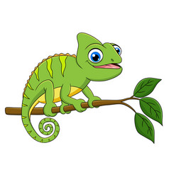 Cute Chameleon Cartoon