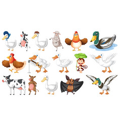 Many Farm Animals On White Background