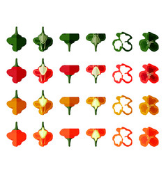 Set Scotch Bonnet Peppers Flat Style