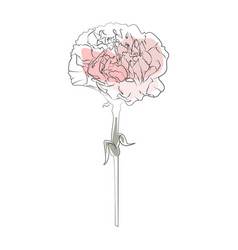 Carnation Line Diantus Icon Watercolor Flower