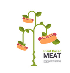 Plant Based Vegetarian Hot Dog Tree Beyond Meat