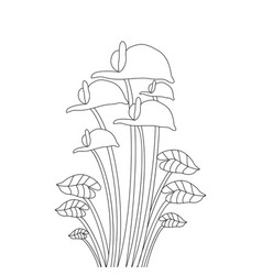 Flower Coloring Page Sketch Of Kids Book