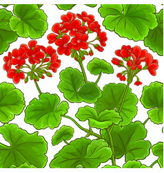 Download 66 Background Bunga Geranium Gratis