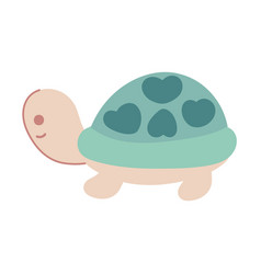 Turtle Cute Animal