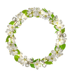 Cherry Blossom Wreath White Delicate Sakura