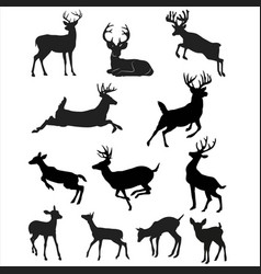 Cute Deer Shape Collection