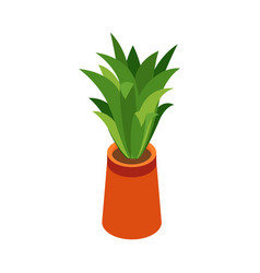 Isometric Plant