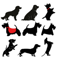 Cute Dog Shapes Collection