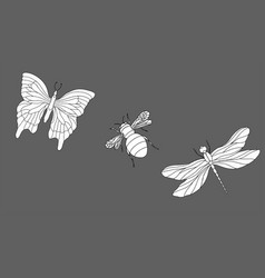 Trio Of Sketched Insects Featuring Butterfly Bee