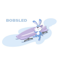 Bobsled Cute Bunny Sportsmen Bobsleigh Sled Race