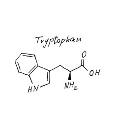 Tryptophan Chemistry Molecule Formula Hand Drawn