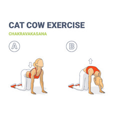 Cat Cow Exercise Girl Home Workout Routine