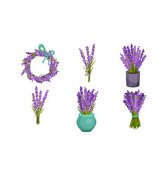 Lavender Flowers In Vase And Flowerpot Set