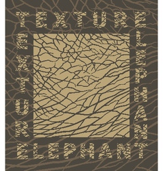 Elephant Skin Texture