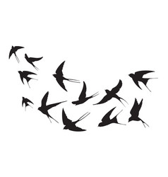 Flock Of Swallows Silhouettes Crowd Flying Birds