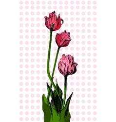 Hand Drawn Bouqet Of Tulip