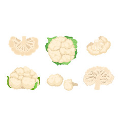 Cauliflower Cabbage With Separated Florets