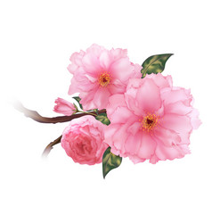 3d Realistic Pink Cherry Sakura Flower Branch