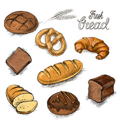 Bread drawing bakery product sketch Royalty Free Vector