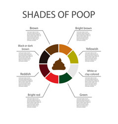 Shades Color Poop Chart Poop Icon