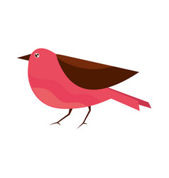 Bird Animal Icon