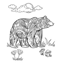 Large Bear Standing Side View On Grass Fields