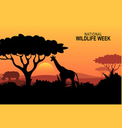 National Wildlife Week Background