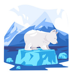 Polar Bear In Melting Floating Iceberg Endangered