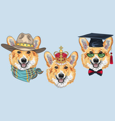 Set Dog Pembroke Welsh Corgi