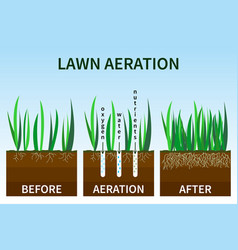 Stages Lawn Aeration