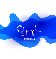 Tryptophan Skeletal Formula And Structure