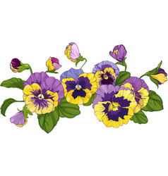 Flower Arrangement Pansies Isolated On A White