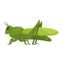 Nature Grasshopper Icon Cartoon Art Ant