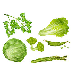 Green Vegetables Set