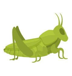 Grasshopper Character Icon Cartoon Art Ant