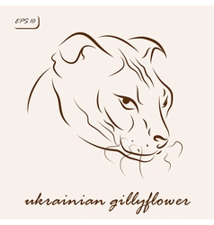 Ukrainian Gillyflower Cat