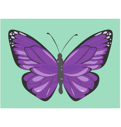 Large Purple Butterfly With A Pattern