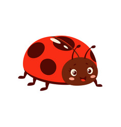 Ladybug Cartoon Insect Funny Kids Character